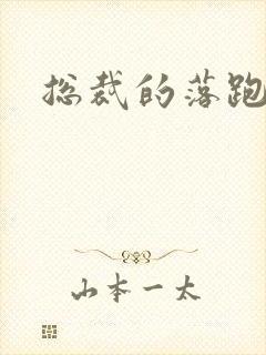 总裁的落跑情人