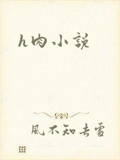 h肉小说