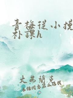 青梅从小摸到大补课h