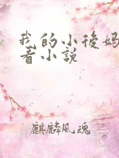 我的小后妈免费看小说
