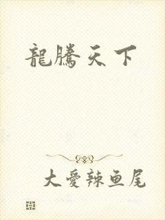 龙腾天下
