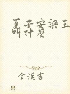 夏子安梁王书名叫什么