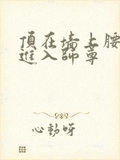 顶在墙上腰一沉进入师尊