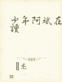 少年阿斌在线阅读