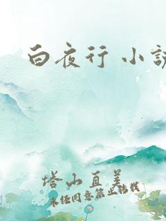 白夜行 小说