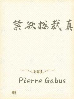 禁欲总裁真能干