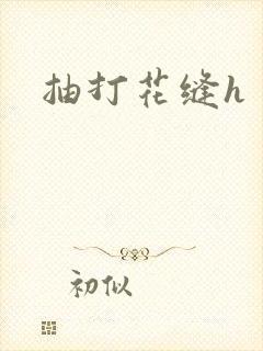 抽打花缝h