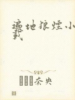 遍地狼烟小说下载