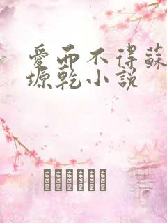 爱而不得苏路顾塬乾小说