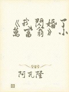 《我闪婚了个亿万富翁》小说