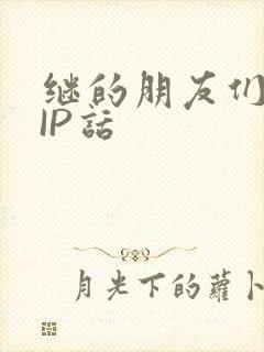 继的朋友们SVIP话