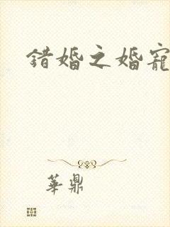 错婚之婚宠一世