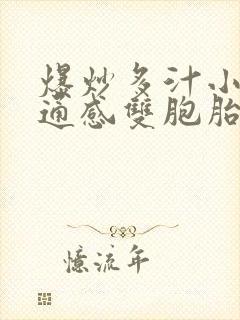 爆炒多汁小美人通感双胞胎燎锋