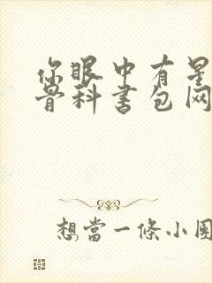 你眼中有星辰h骨科书包网