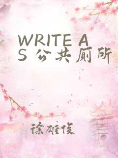 WRITE AS 公共厕所