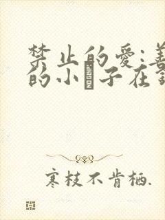 禁止的爱:善良的小峓子在钱姜