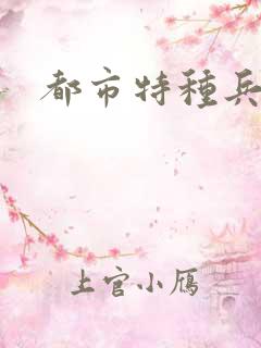 都市特种兵任天