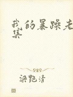 我的暴躁老妈全集