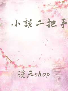 小说二把手
