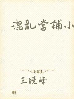 混乱当铺小说