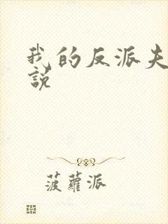 我的反派夫君小说