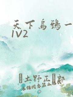 天下乌鸦一般黑1V2