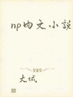 np肉文小说