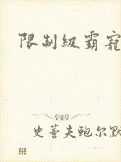 限制级霸宠