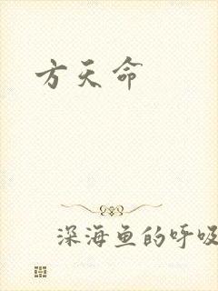 方天命