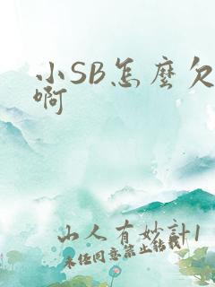 小SB怎么欠C啊