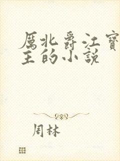 厉北爵江宝宝男主的小说