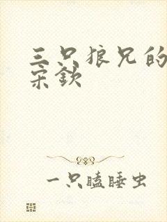 三只狼兄的宠妻宋钦