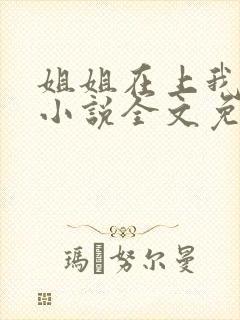 姐姐在上我在下小说全文免费阅读