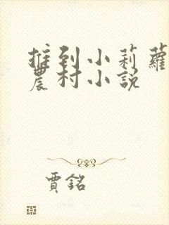 推到小莉萝稚嫩农村小说