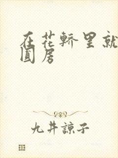 在花轿里就开始圆房