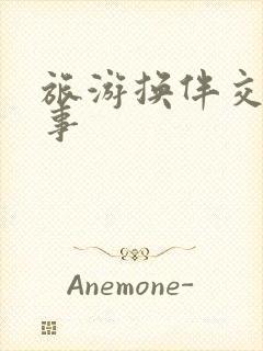 旅游换伴交流故事