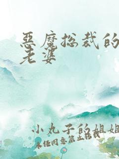 恶魔总裁的宝贝老婆