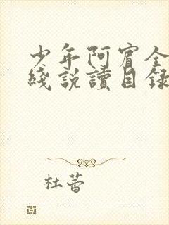 少年阿宾全文在线说读目录