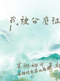 我被公么征服了1