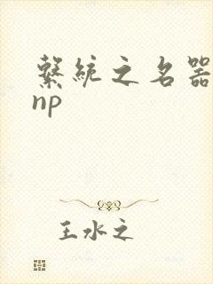 系统之名器攻略np