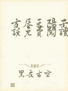 方辰天阳子的小说免费阅读