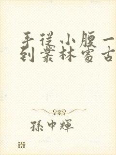 手从小腹一路开到丛林处古代