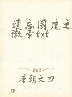 遗忘国度之神秘徽章txt