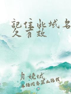 记住此域名记永久有效