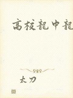 高校龙中龙全集