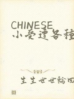 CHINESE小受遭各种打桩