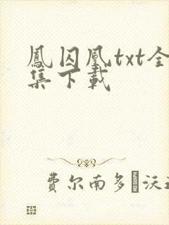 凤囚凰txt全集下载