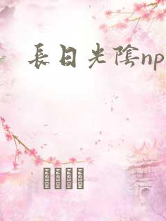 长日光阴np
