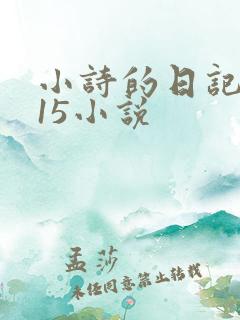 小诗的日记1一15小说