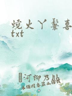 烧火丫鬟喜洋洋txt